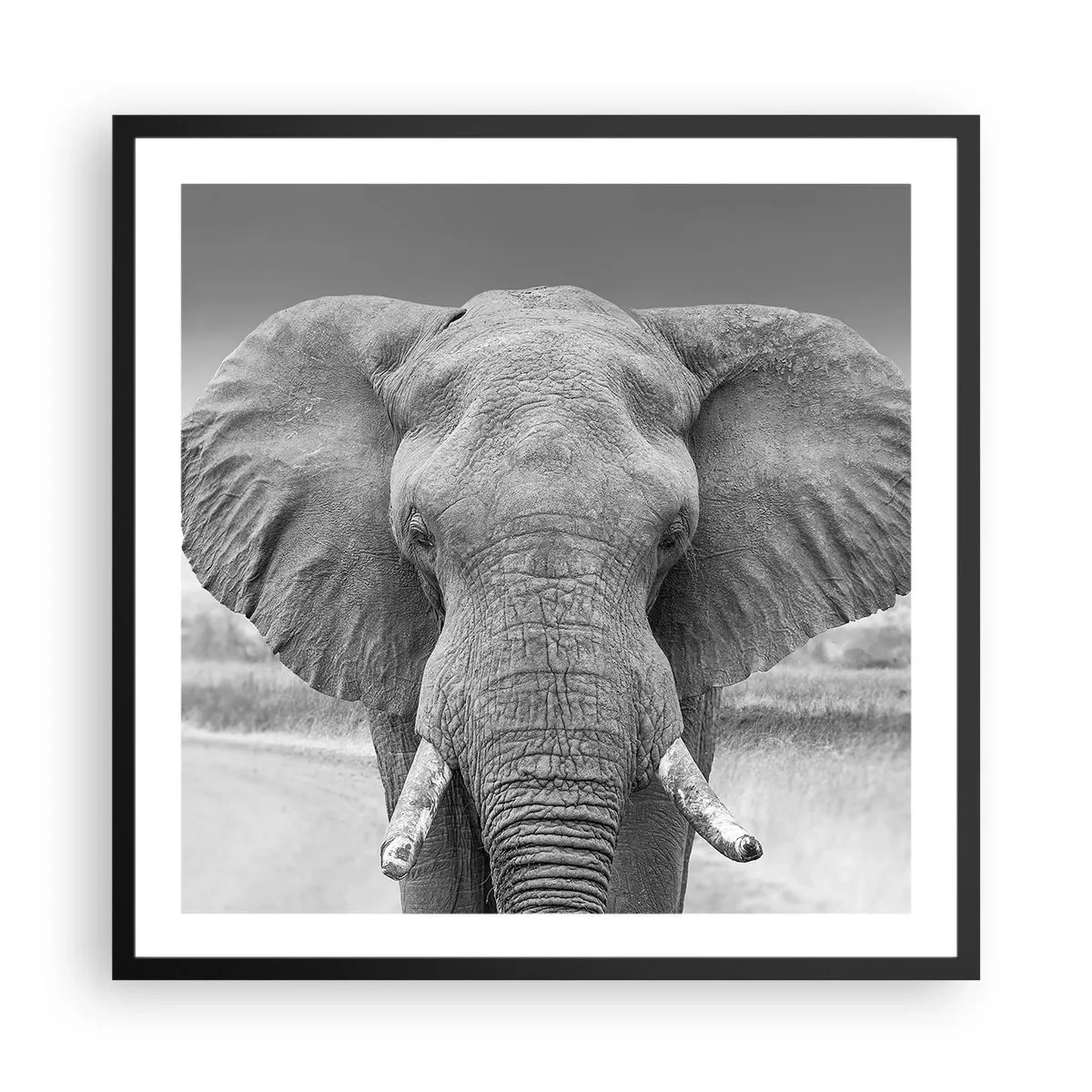 Poster in een zwarte lijst - Welkom in mijn wereld - 60x60 cm