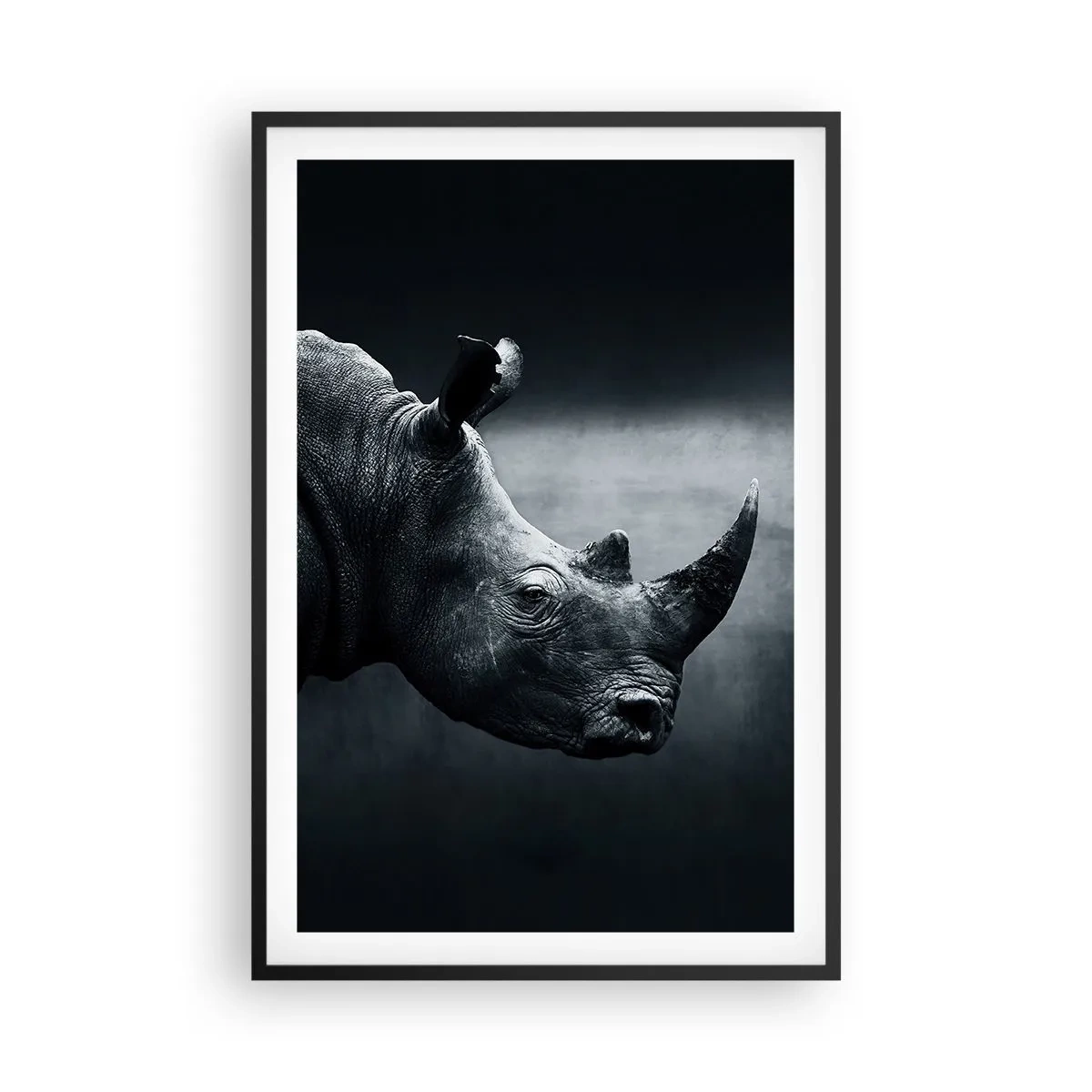 Poster in een zwarte lijst - Rechts profiel - 61x91 cm