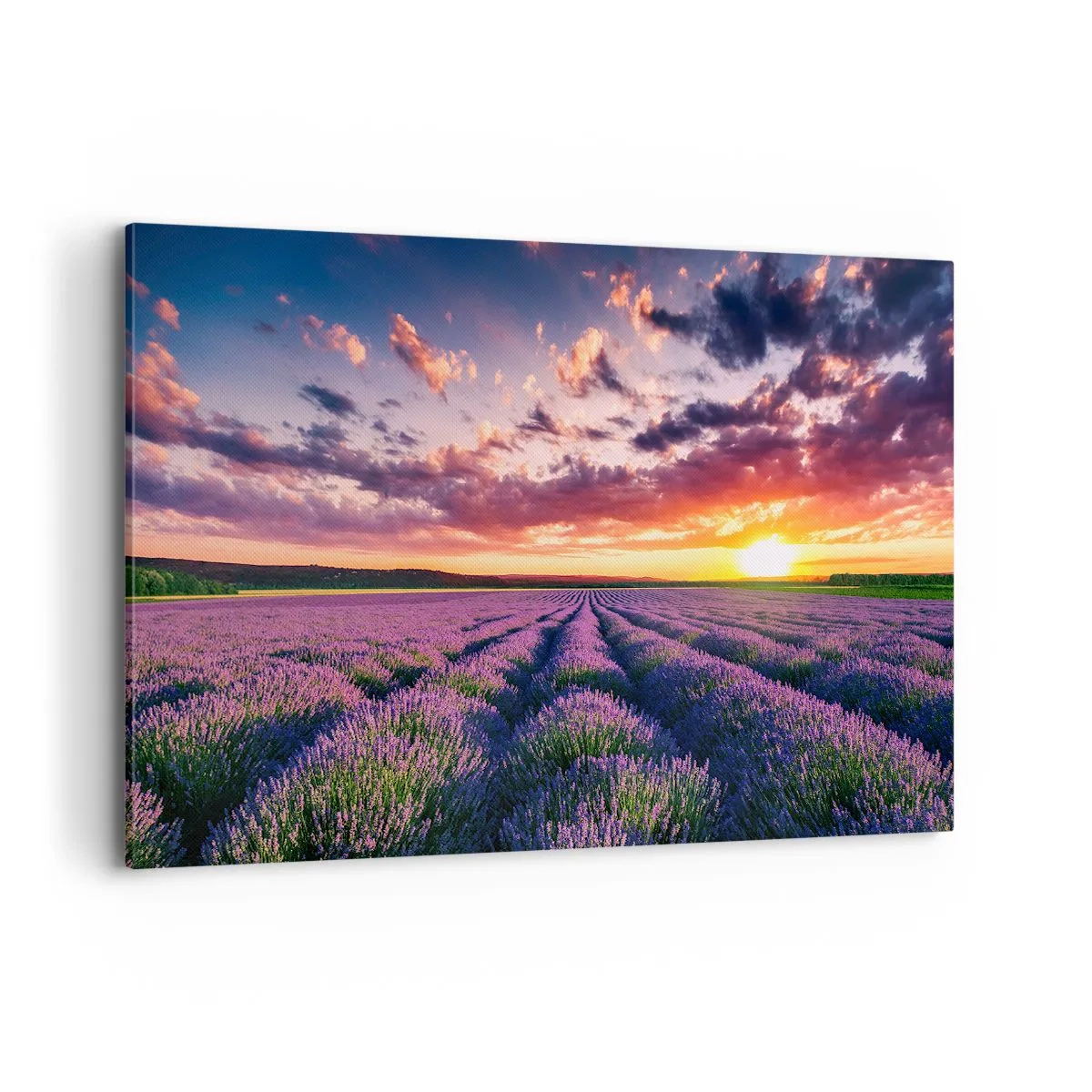 Schilderen op canvas - Lavendel wereld - 120x80 cm