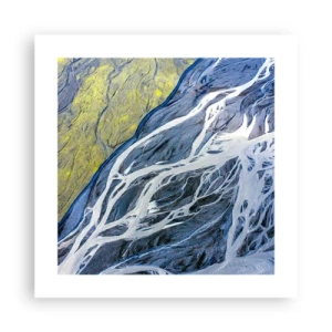 Poster - Rotstekeningen van de natuur - 40x40 cm