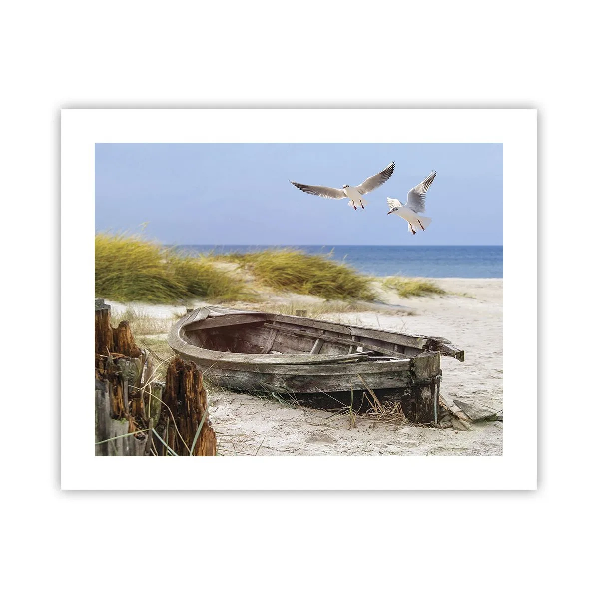 Poster - Badend in de wind - 50x40 cm