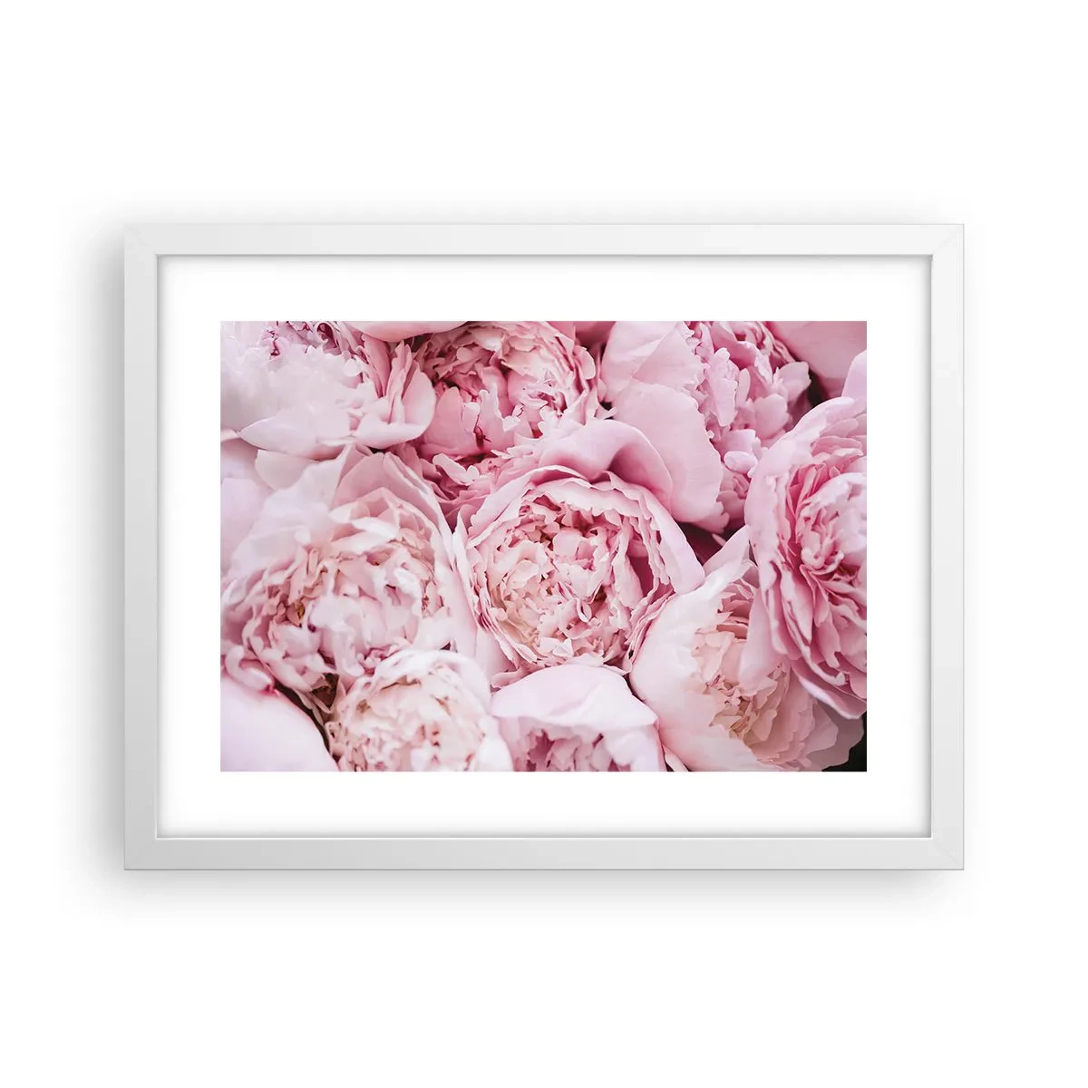 Poster in een witte lijst - Knuffelend en geurig - 40x30 cm