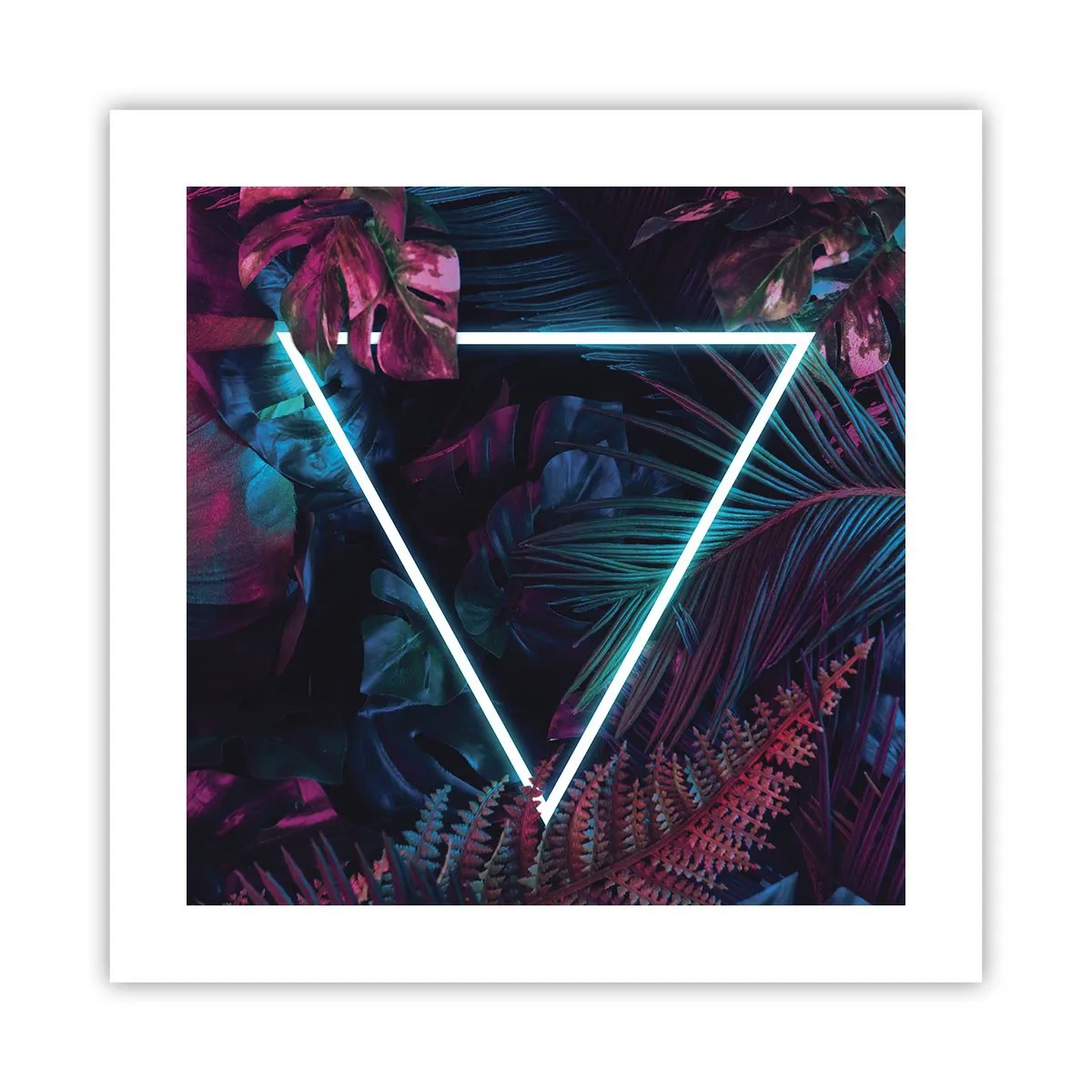 Poster - Disco-achtige tuin - 40x40 cm