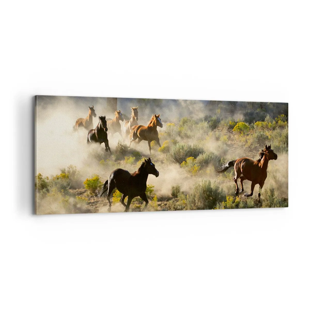 Schilderen op canvas - Rivaliteit - vrijheid of mannelijke kracht? - 100x40 cm