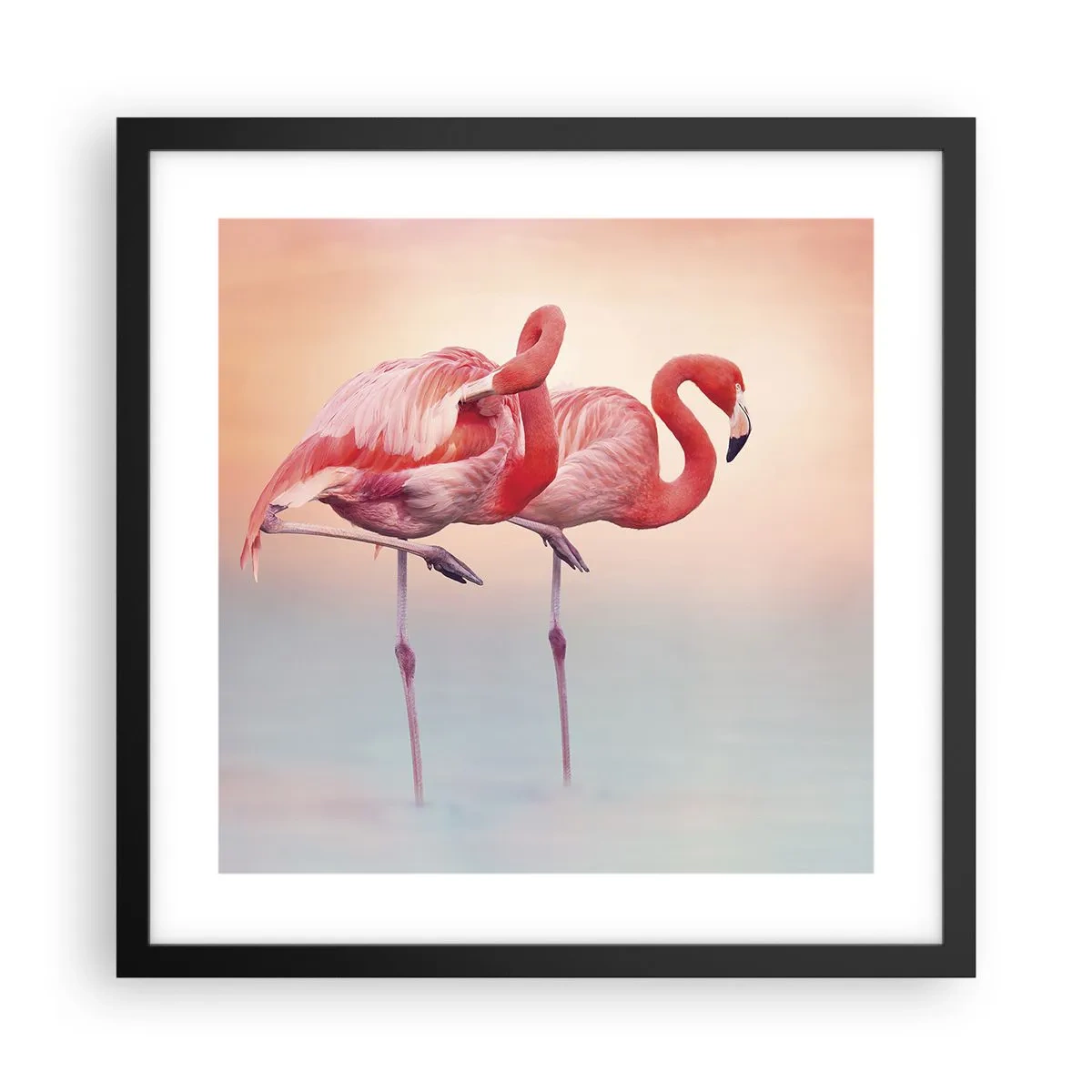 Poster in een zwarte lijst - De kleur van de ondergaande zon - 40x40 cm