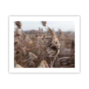 Poster - Tijd om met de wind mee te gaan - 50x40 cm