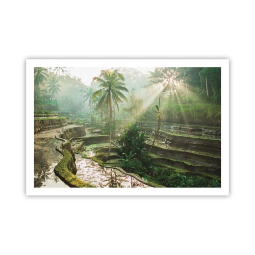 Poster - Opgroeien in de zon - 91x61 cm