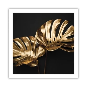Poster - De schatten van de natuur - 60x60 cm