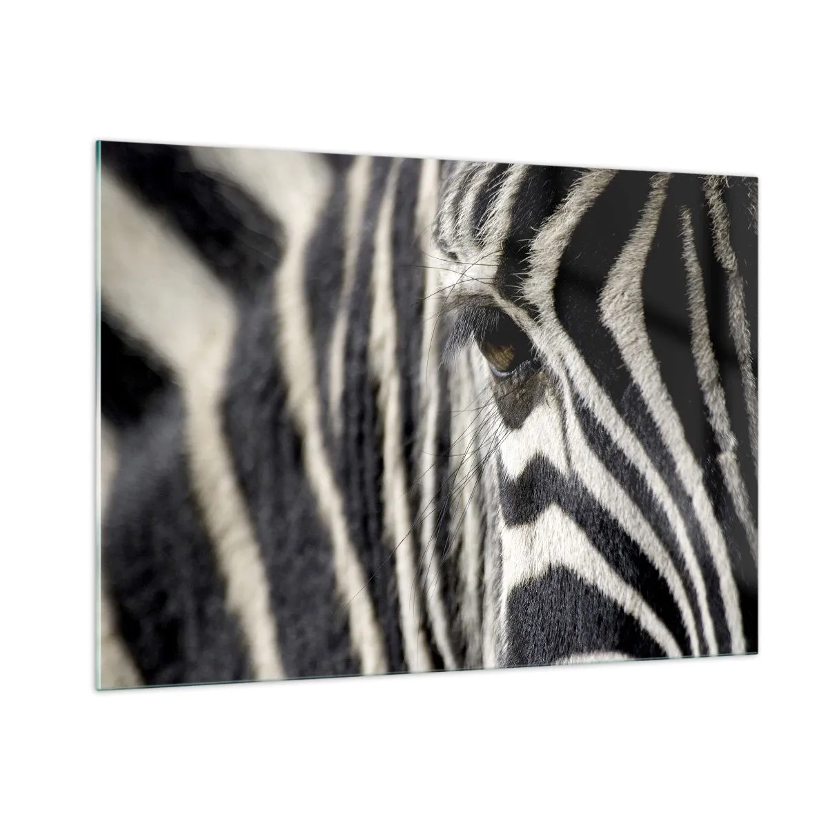 Schilderen op glas - Gestreept portret - 100x70 cm