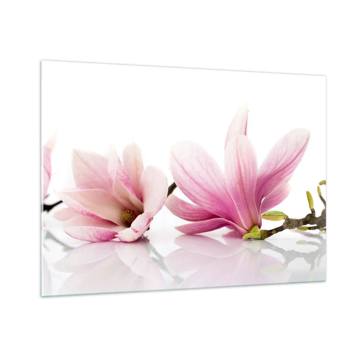 Schilderen op glas - Delicaat als een lentebriesje - 100x70 cm