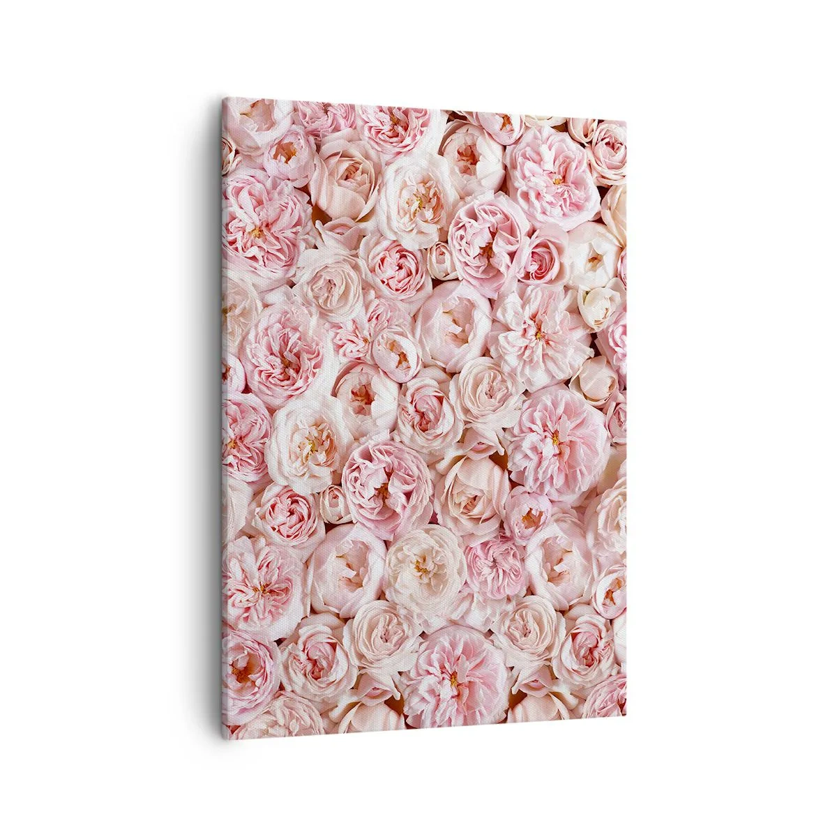 Schilderen op canvas - Een bed van rozen - 50x70 cm
