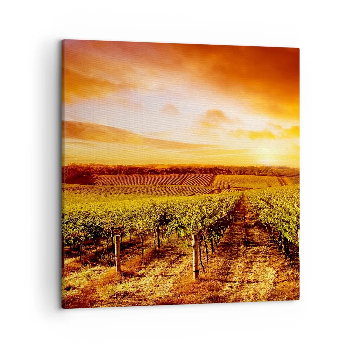 Schilderen op canvas - Licht fruitig met een vleugje zonneschijn - 50x50 cm