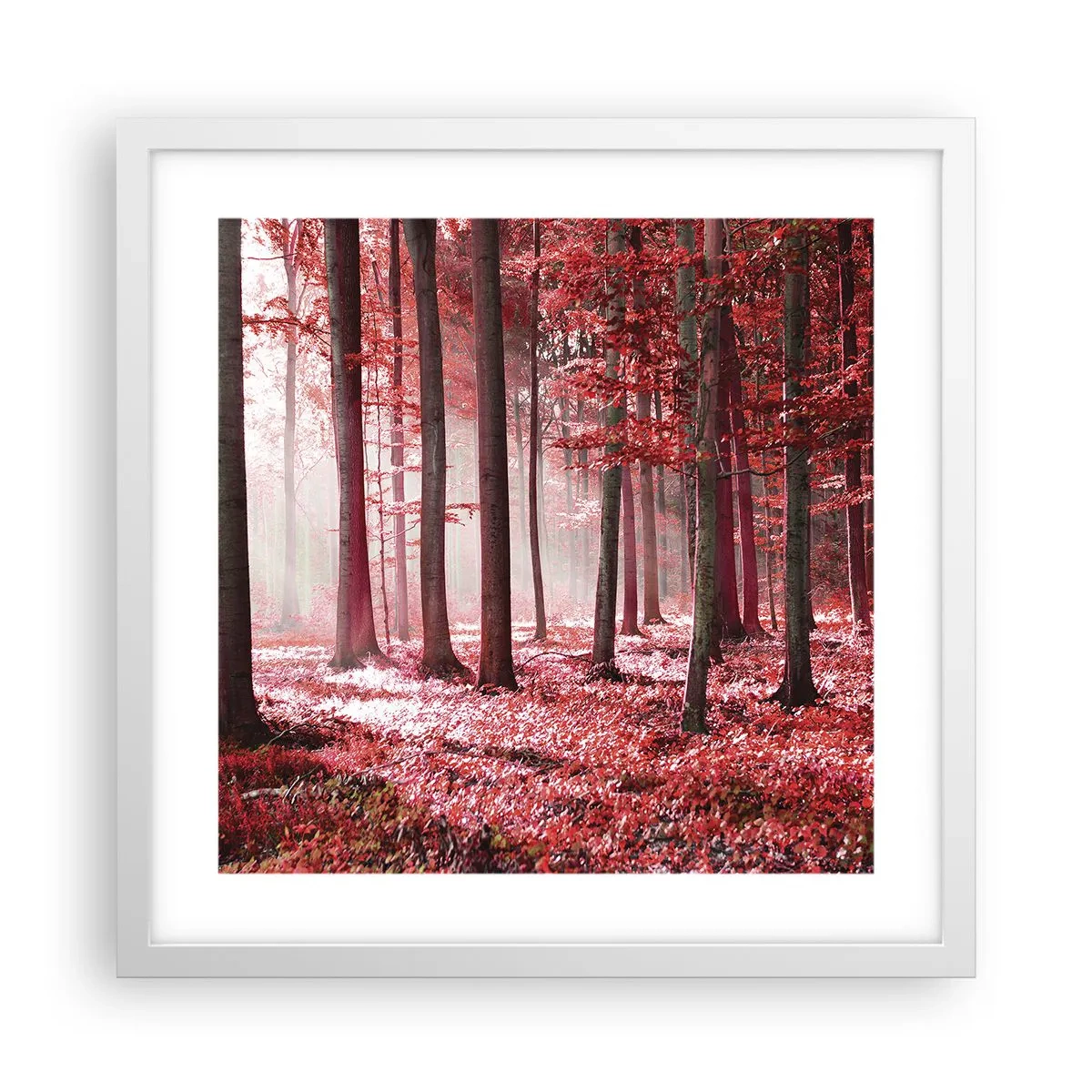 Poster in een witte lijst - Rood is net zo mooi - 40x40 cm