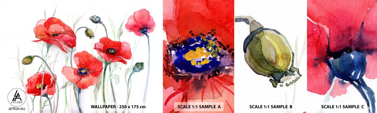 Fotobehang Staaltje Standard Eco - Poolse bloemen - Bloemen, Maanzaad, Natuur - 100x30 cm