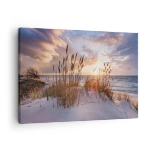 Schilderen op canvas - Duinen met gras tegen de achtergrond van de ondergaande zon - 70x50cm - Afscheid van de zon en de wind - Moderne wanddecoratie voor woonkamer en slaapkamer ARTTOR