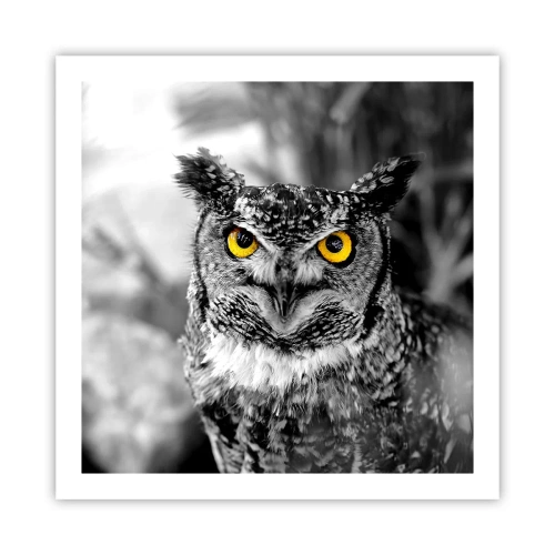 Poster - Niets zal zich verbergen - 60x60 cm