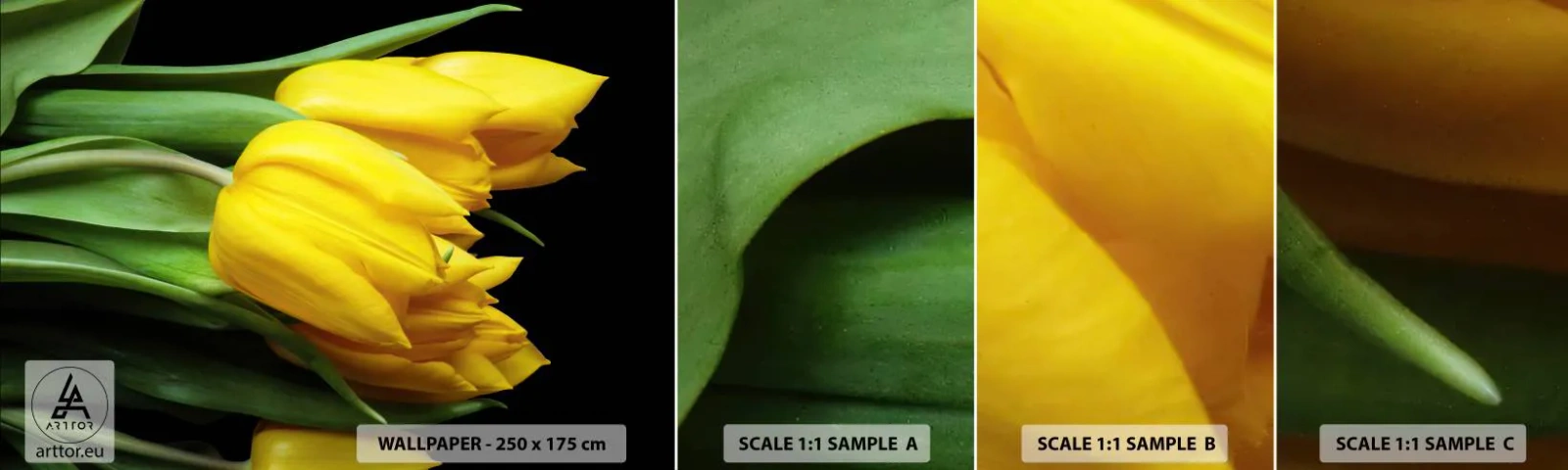 Fotobehang Staaltje Standard Eco - Gemaakt van heldere zon - Bloemen, Tulpen, Boeket bloemen - 100x30 cm