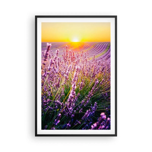 Poster in een zwarte lijst - Geurige korenvelden - 61x91 cm