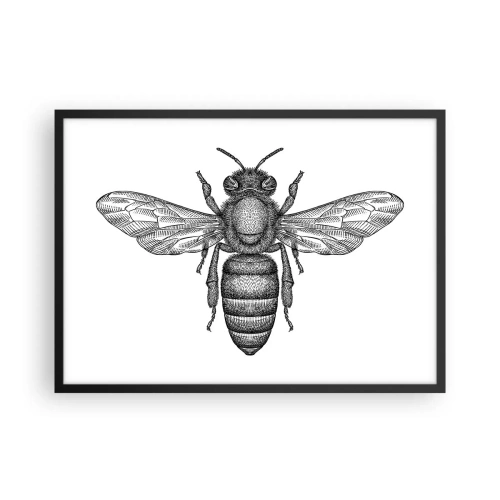 Poster in een zwarte lijst - Insectenportret - 70x50 cm