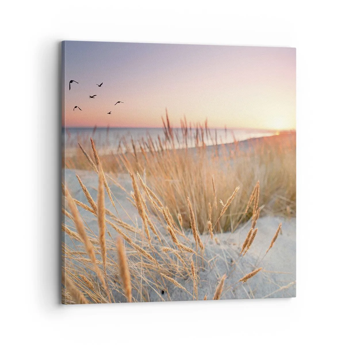 Schilderen op canvas - Het Baltische slaapliedje - 70x70 cm