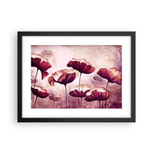Poster in een zwarte lijst - Rood en wit bloemblad - 40x30 cm