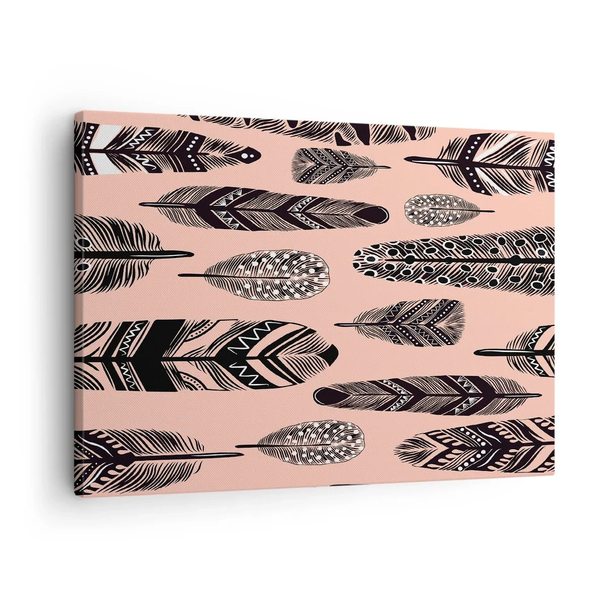 Schilderen op canvas - Decoratieve veren op een lichte achtergrond - 70x50cm - Indiase collectie - Moderne wanddecoratie voor woonkamer en slaapkamer ARTTOR