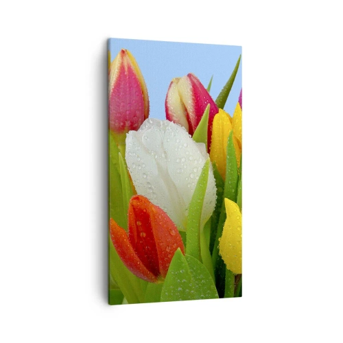 Schilderen op canvas - Een bloemenregenboog in dauwdruppels - 45x80 cm