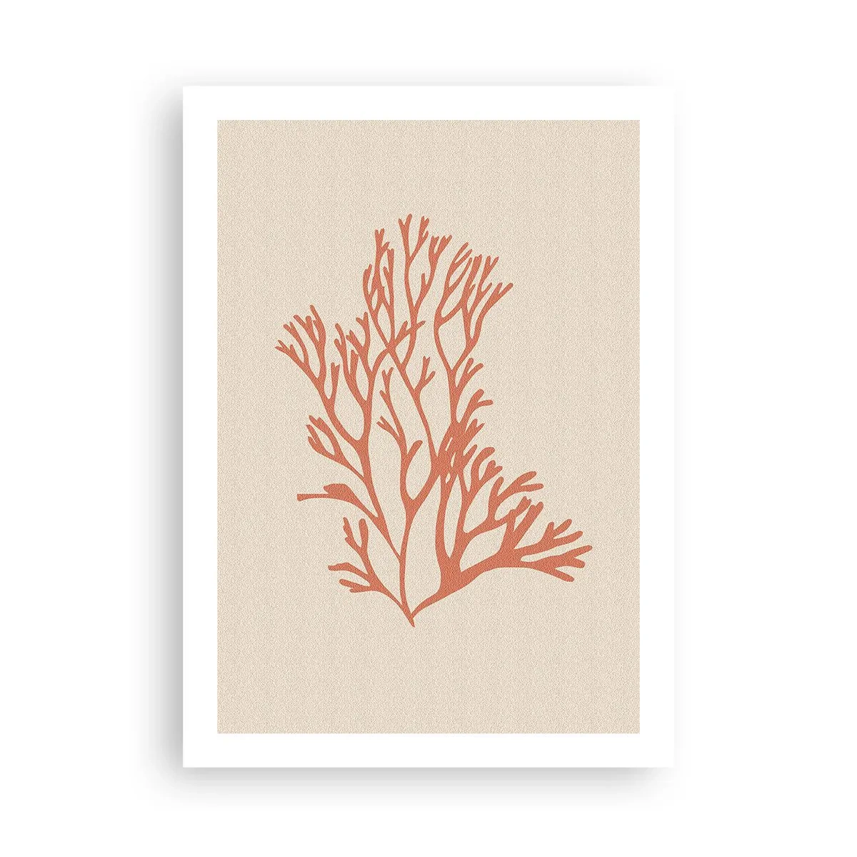 Poster - Koraal filigraan - 50x70 cm