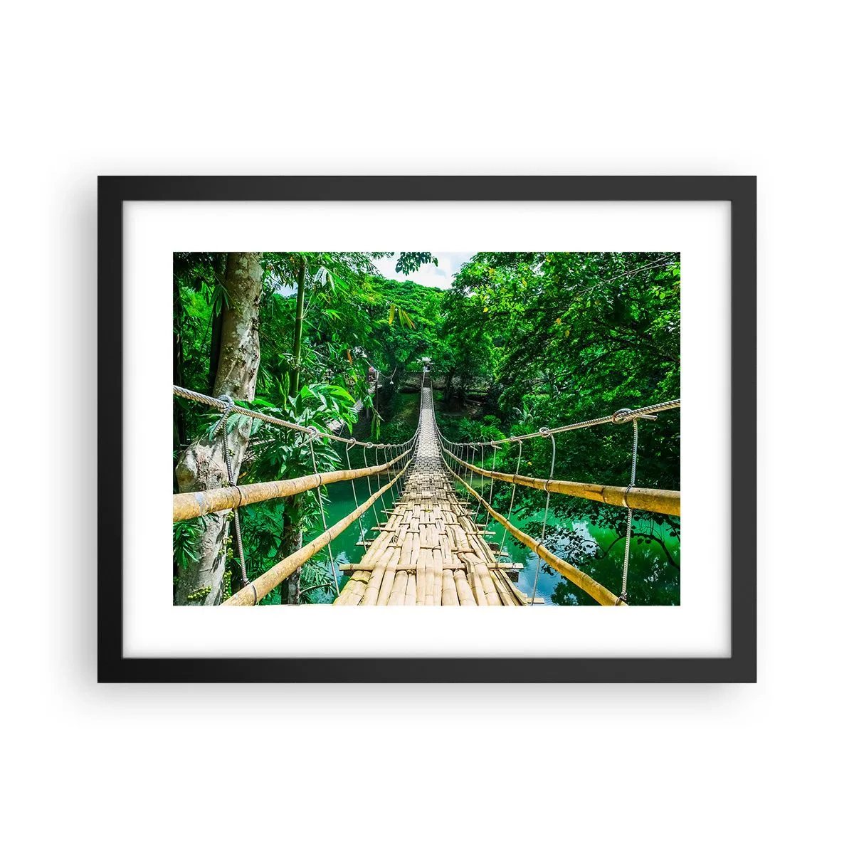 Poster in een zwarte lijst - Apenbrug over de green - 40x30 cm