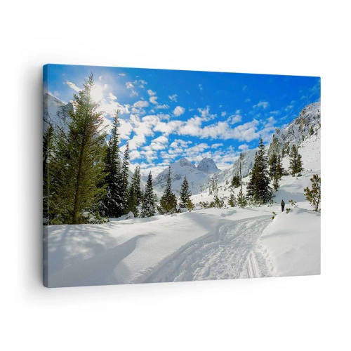 Schilderen op canvas - Winterberglandschap met een bos en een pad in de sneeuw - 70x50cm - In de sneeuw en in de zon - Moderne wanddecoratie voor woonkamer en slaapkamer ARTTOR