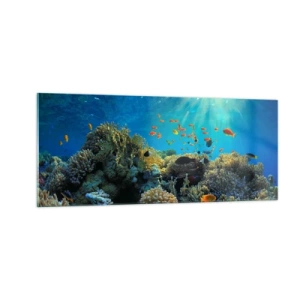 Schilderen op glas - Onderwater schatten - 100x40 cm