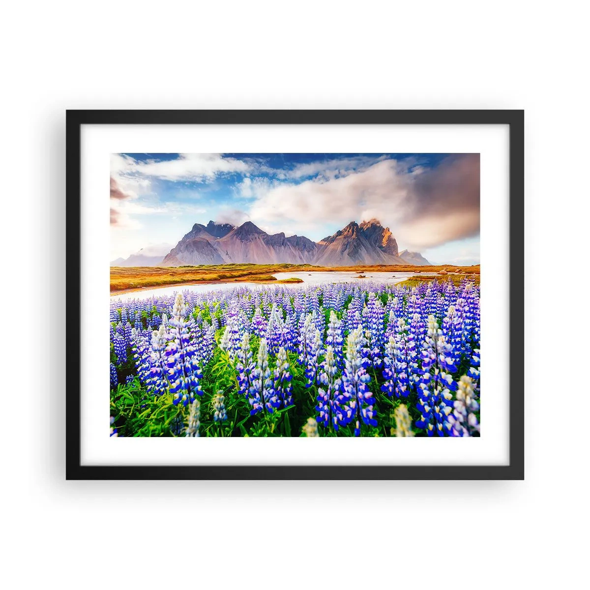 Poster in een zwarte lijst - Kracht en soberheid naast zachtheid - 50x40 cm