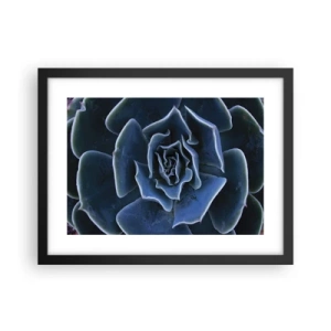 Poster in een zwarte lijst - Woestijn bloem - 40x30 cm