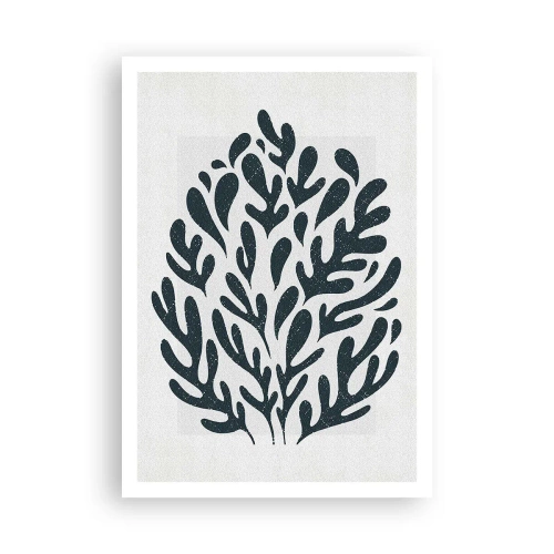 Poster - Vormen van de natuur - 70x100 cm