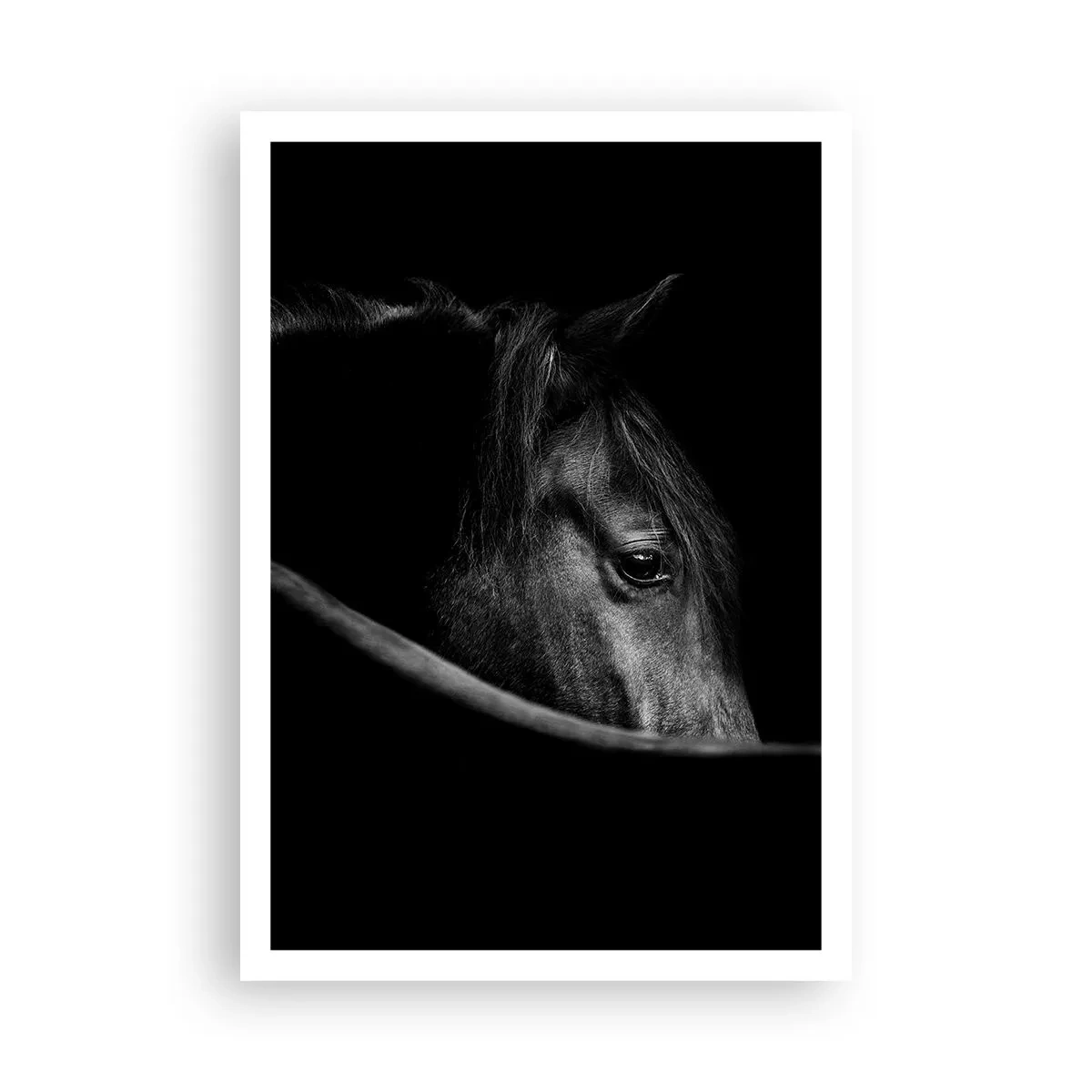 Poster - Zwarte Prins - 70x100 cm