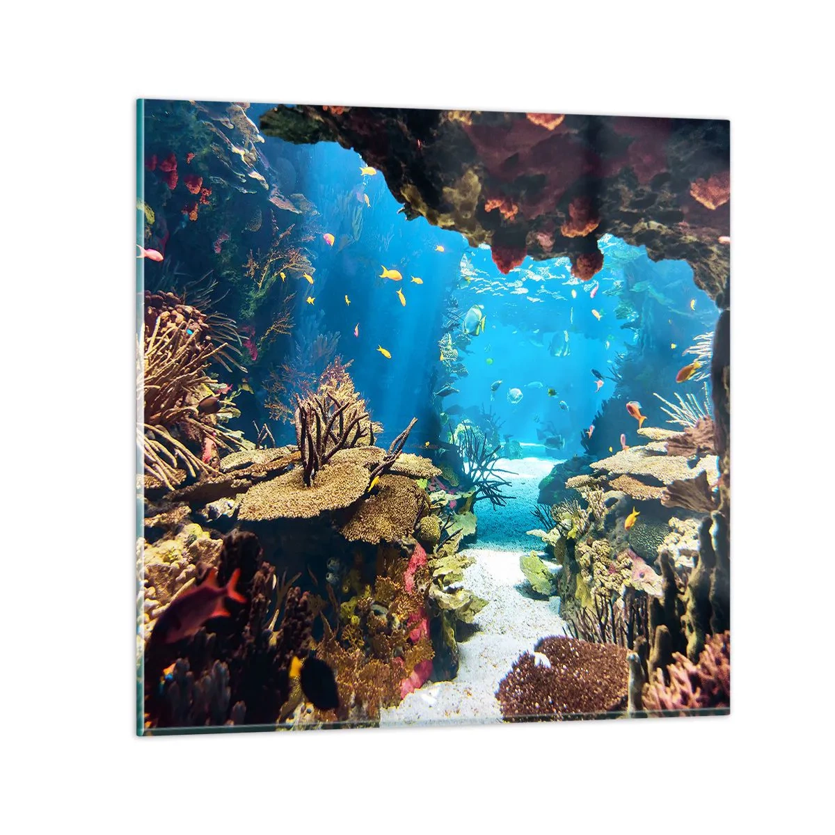 Schilderen op glas - Je hebt het niet eens gedroomd - 30x30 cm