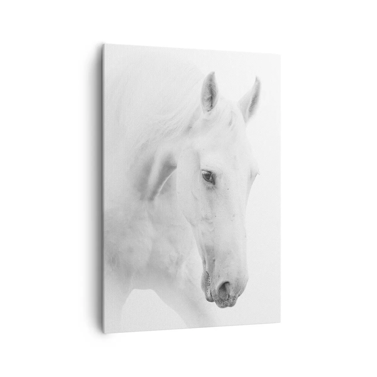 Schilderen op canvas - Is dit vriendschap...? - 70x100 cm