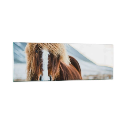 Schilderen op glas - Voel jij je vrij? - 90x30 cm