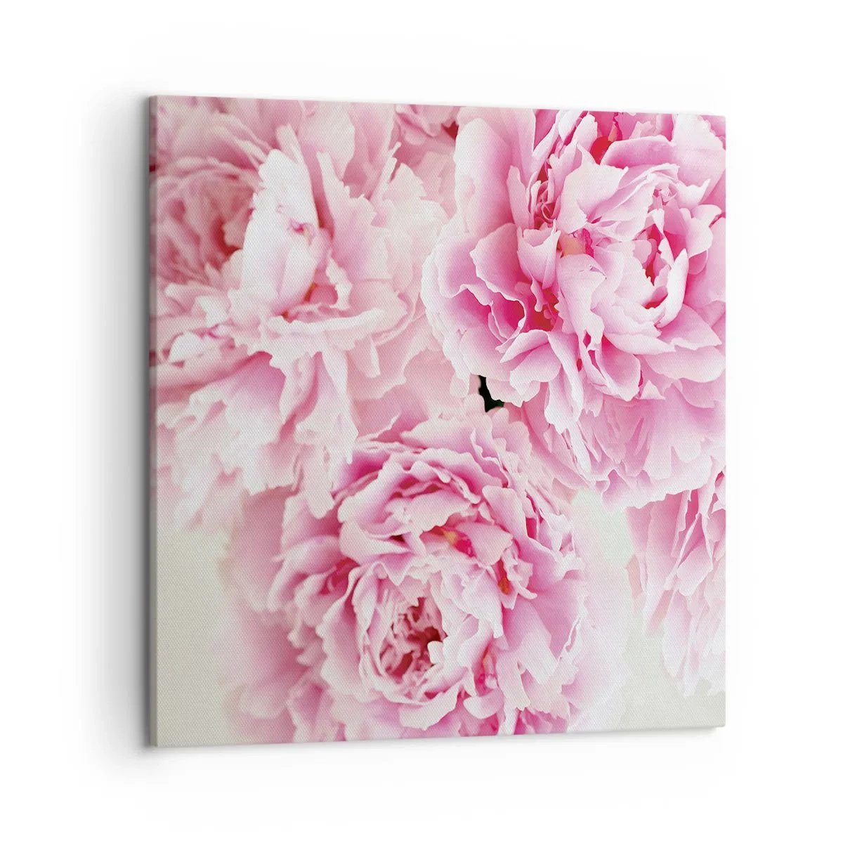 Schilderen op canvas - In roze glamour - 50x50 cm
