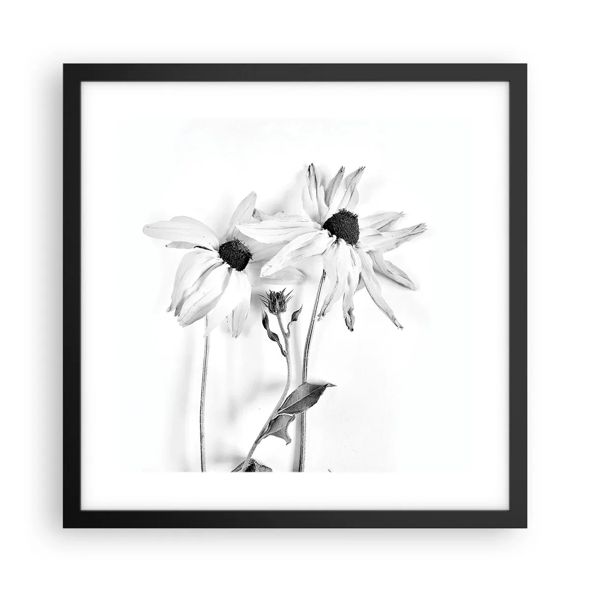 Poster in een zwarte lijst - Niemand wil alleen zijn - 40x40 cm