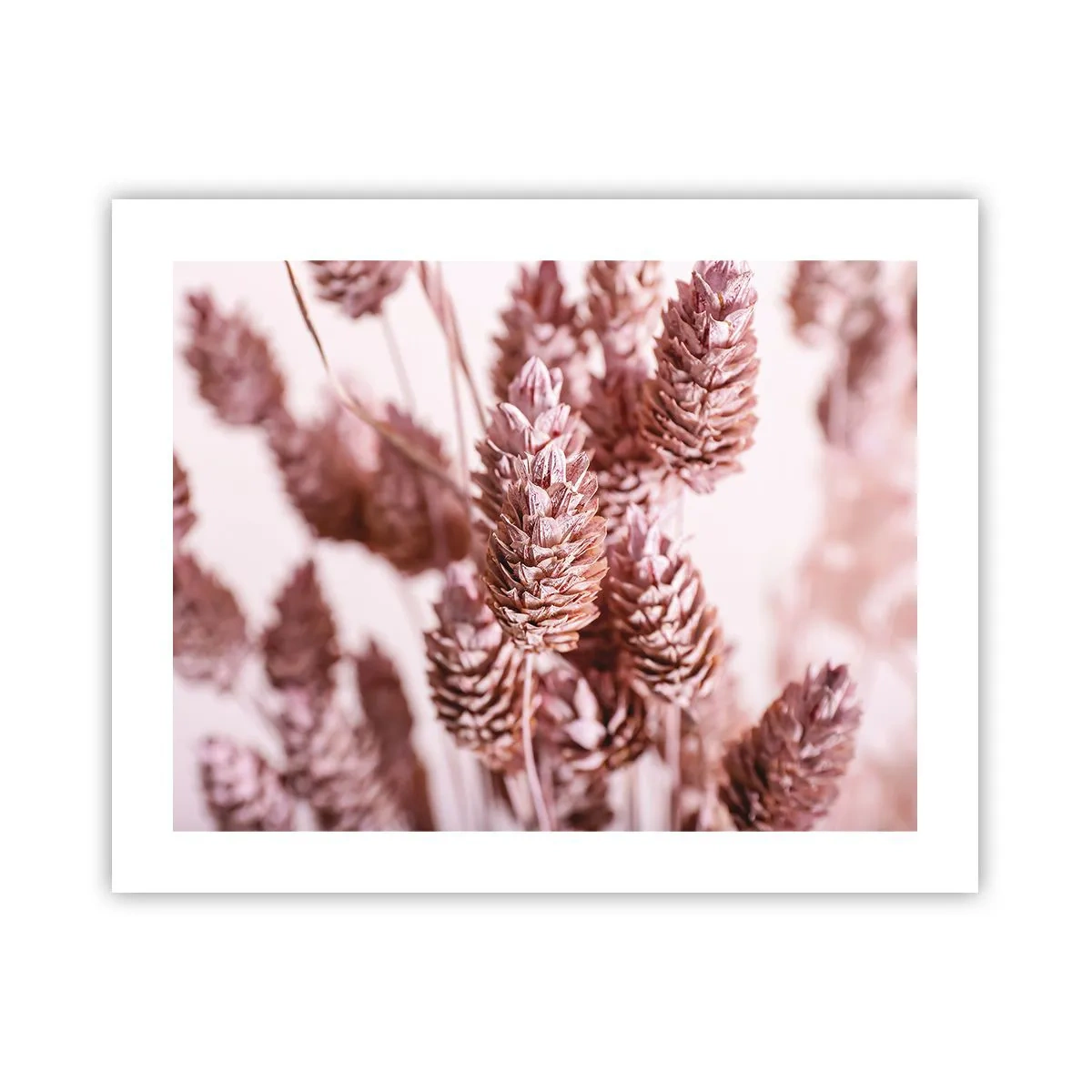 Poster - Schijnbaar onopvallend - 50x40 cm
