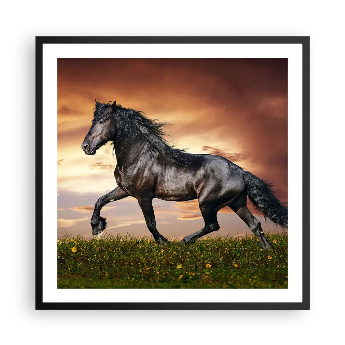 Poster in een zwarte lijst - Zwarte Prins - 60x60 cm