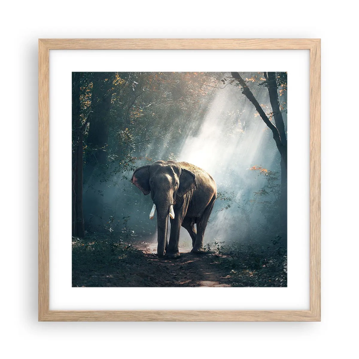 Een poster in een licht eiken lijst - Een ontspannen wandeling - 40x40 cm