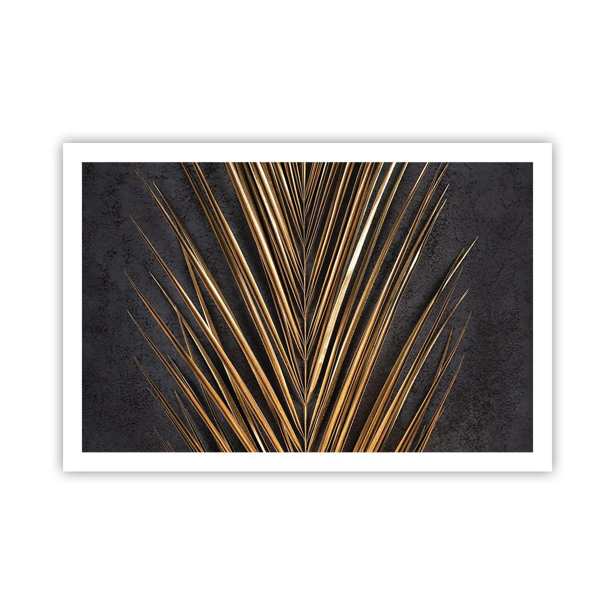 Poster - Het goud van de tropen - 91x61 cm