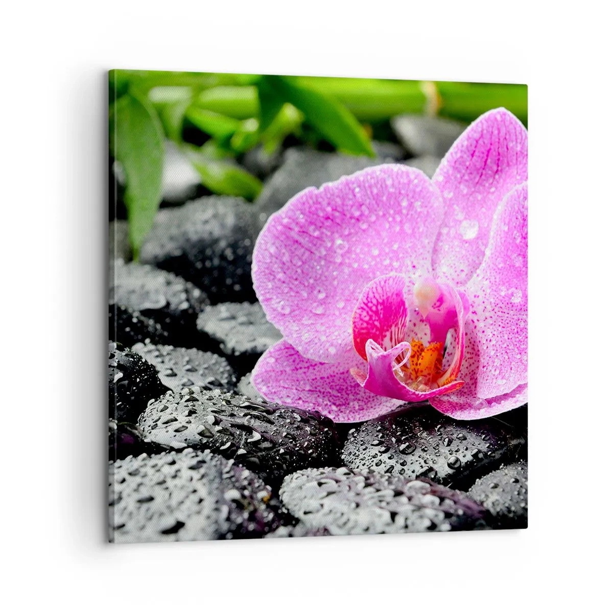 Schilderen op canvas - Als een open hart - 60x60 cm