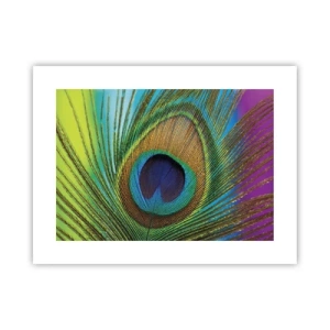 Poster - Oog in oog - 40x30 cm