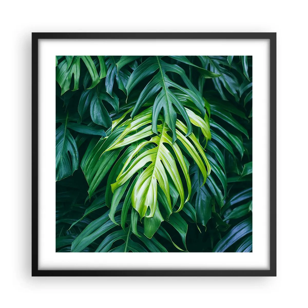 Poster in een zwarte lijst - Dompel jezelf onder in de frisheid - 50x50 cm