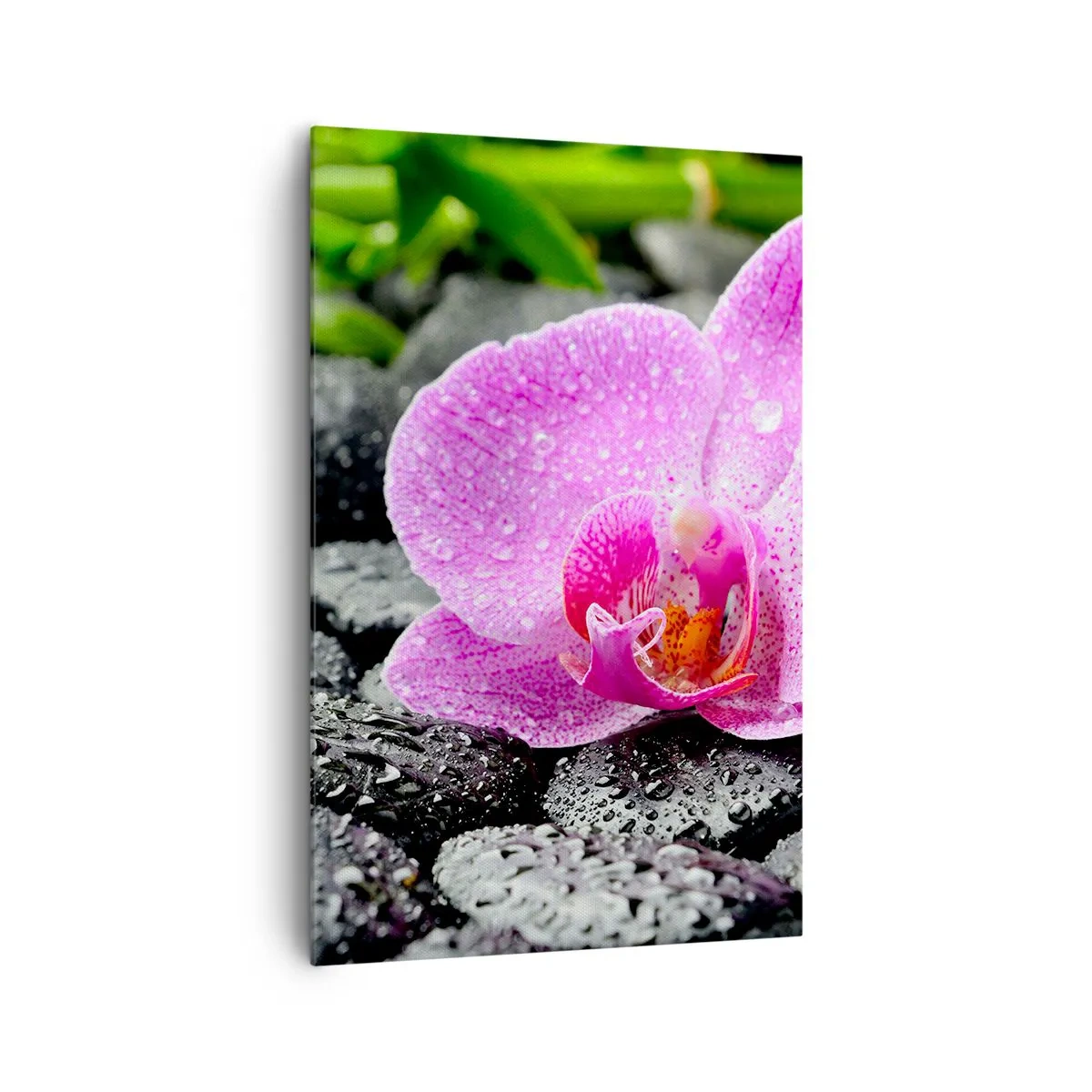 Schilderen op canvas - Als een open hart - 80x120 cm