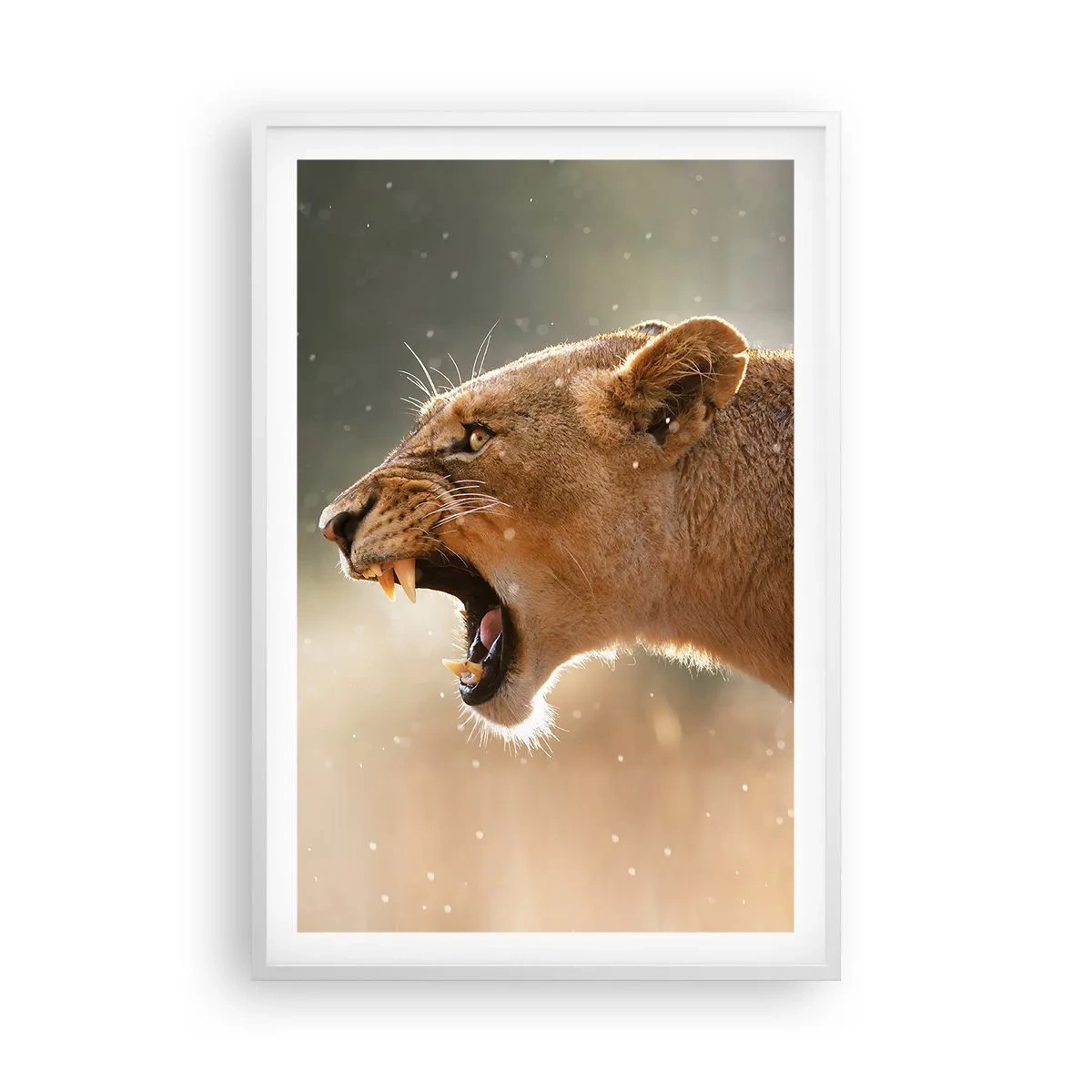 Poster in een witte lijst - Probeer niet te luisteren - 61x91 cm