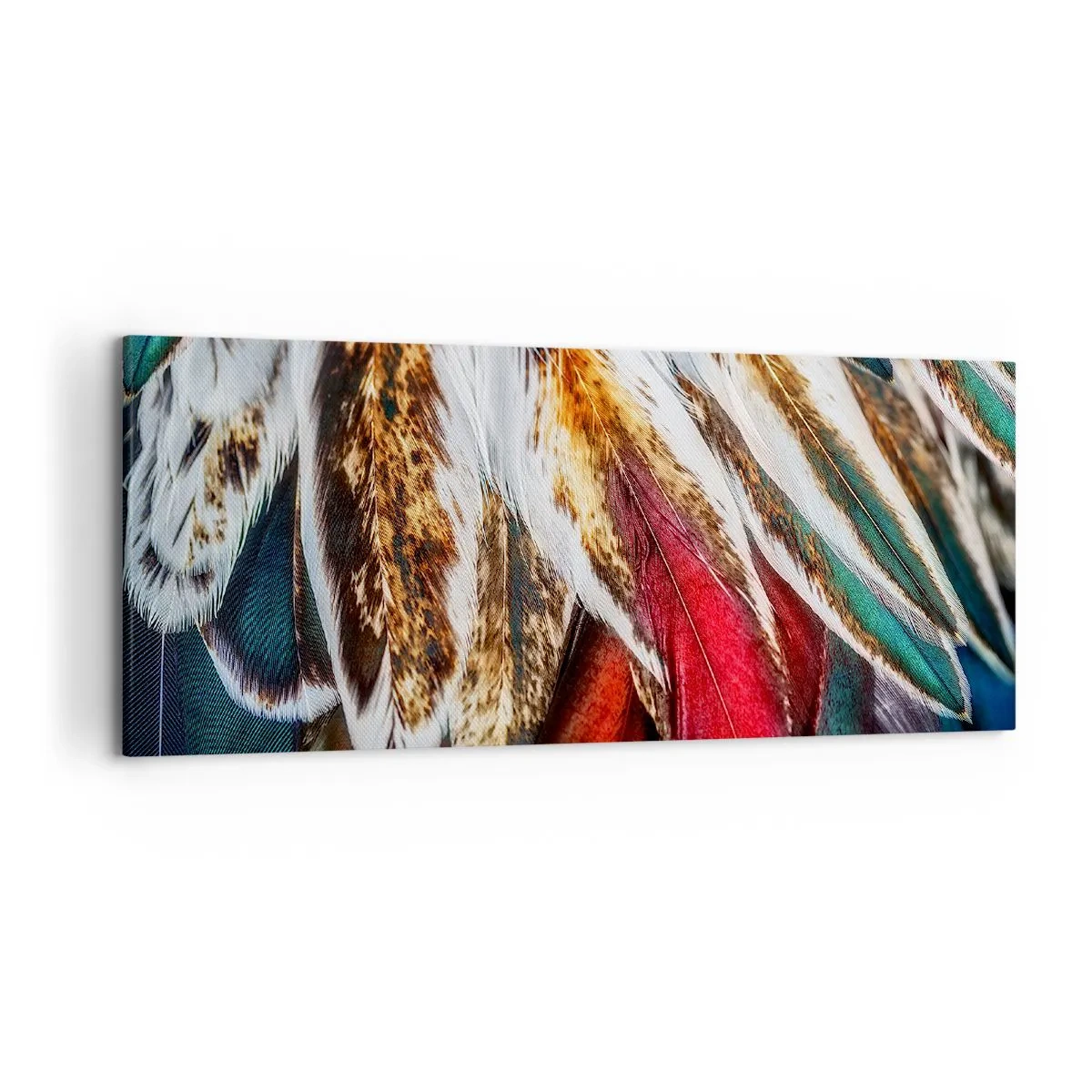 Schilderen op canvas - Geheimen van de vlucht - 120x50 cm